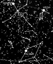 20060807110445-vega1.jpg