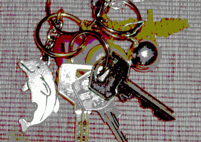 20061103133221-keys2.gif
