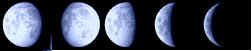 20061115142816-luna.jpg