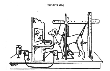 20070125215314-pavlov.jpg