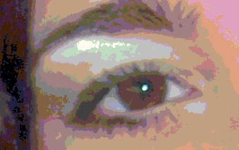20070131020242-ojo1.jpg