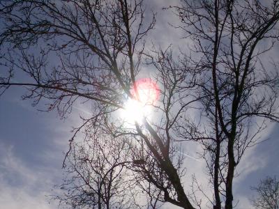 20070305015723-imagen035.jpg