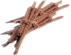 20070402135501-canile.gif