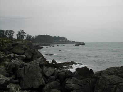 20070410005317-noja.jpg