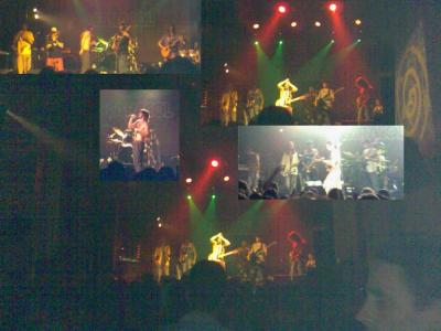 20070514131042-caracol2.jpg