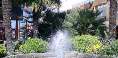 20070606123031-jardin.jpg