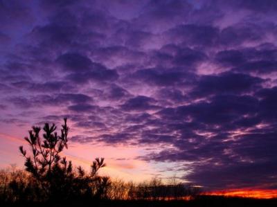 20071017012434-purplesky.jpg