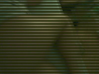 20080402085441-0012.jpg