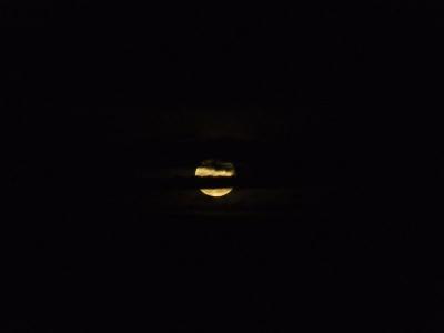 20080527075326-moon-behind-clouds-by-witchofnature.jpg