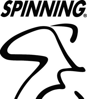 20080711101910-spinning-logo.jpg
