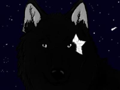 20080722090915-star-wolf-by-crazy-bunz.jpg