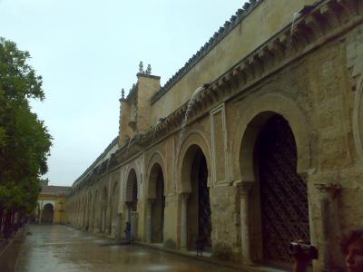 20080930094231-amares.jpg